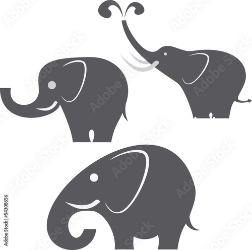 Photography Elephants