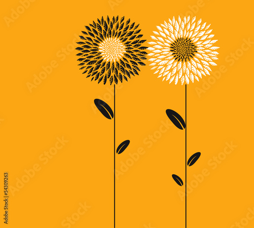 Fototapeta Naklejka Na Ścianę i Meble -  Abstract flowers