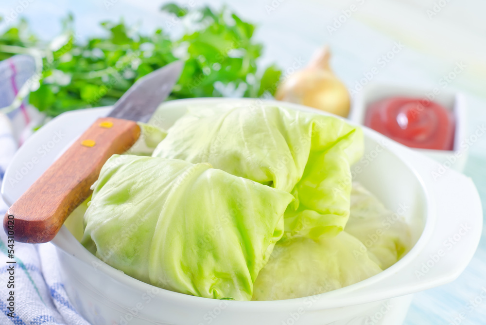dolma dolma