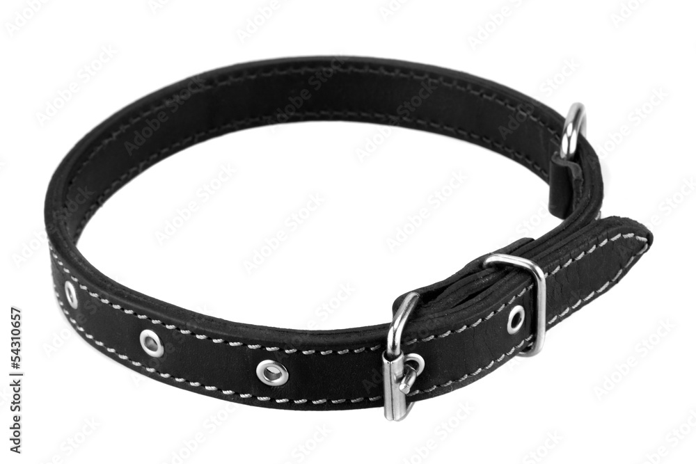 black leather dog collar isolated on white background Stock Photo