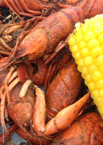 Fototapeta Crayfish dinner