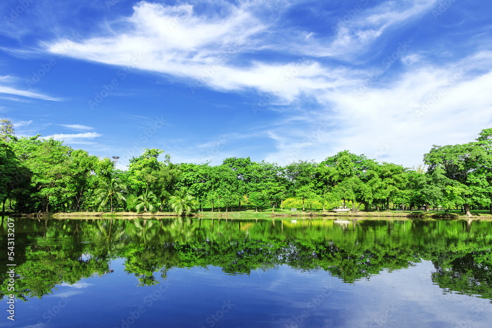 Fototapeta premium park with lake