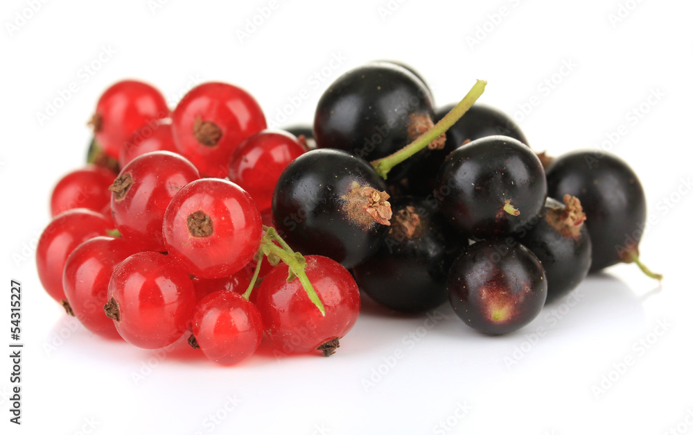 Red and black currant isolated on white Red and black currant isolated on white