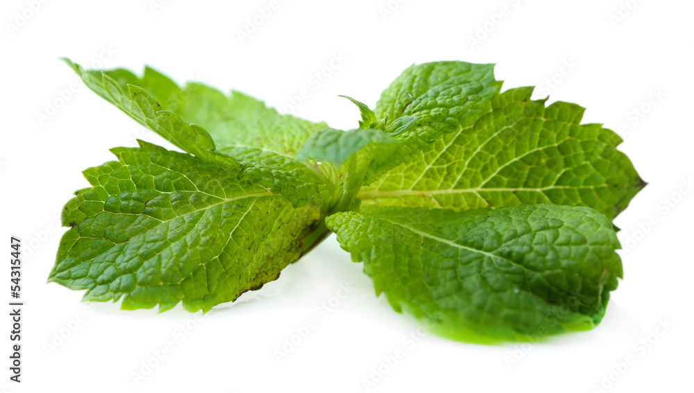 Fresh mint leaves isolated on white Fresh mint leaves isolated on white