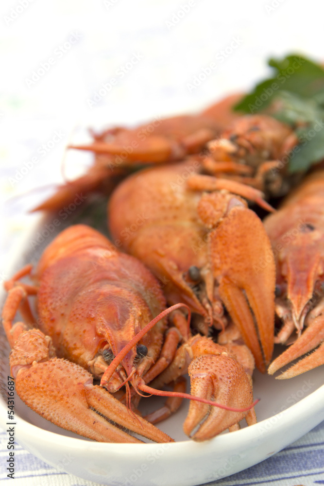 Crayfish crab crawfish red on a platter