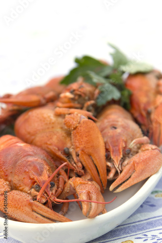 Crayfish crab crawfish red on a platter
