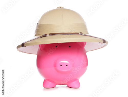 Piggy bank wearing safari hat