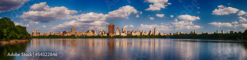 Beautiful panoramic view of Central Park in summer season  NYC