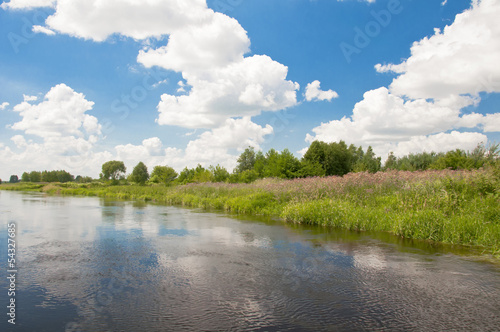 Fototapeta Naklejka Na Ścianę i Meble -  Landscape on the river 4