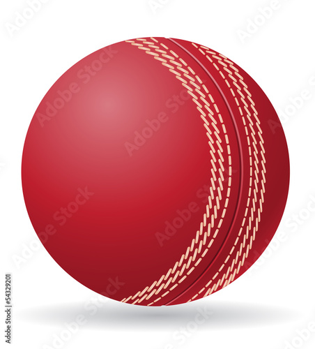 criket ball vector illustration