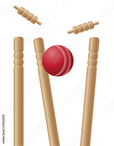 criket wickets and ball vector illustration