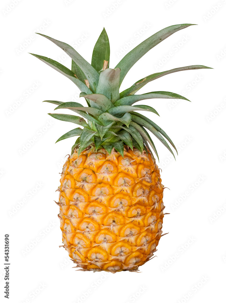 Pineapple isolated on white background Pineapple isolated on white background