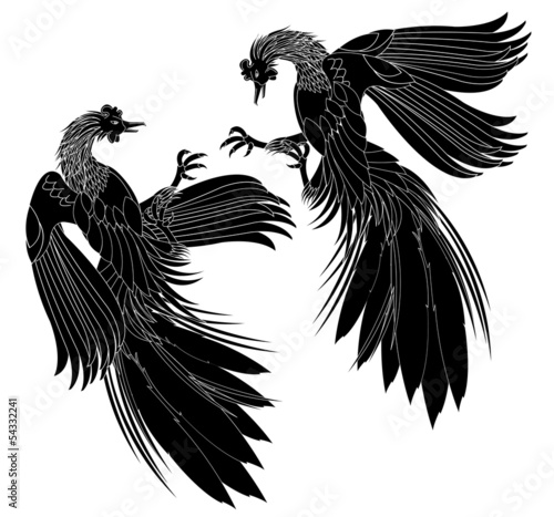 Black chicken.