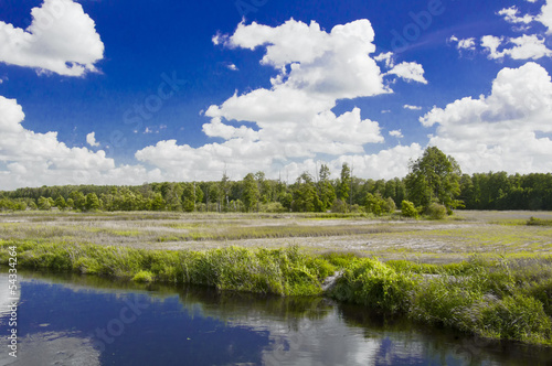 Meadow in the Sky 5