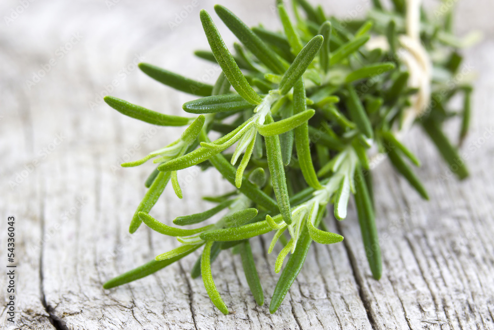 fresh rosemary (Rosmarinus officinalis) fresh rosemary (Rosmarinus officinalis)