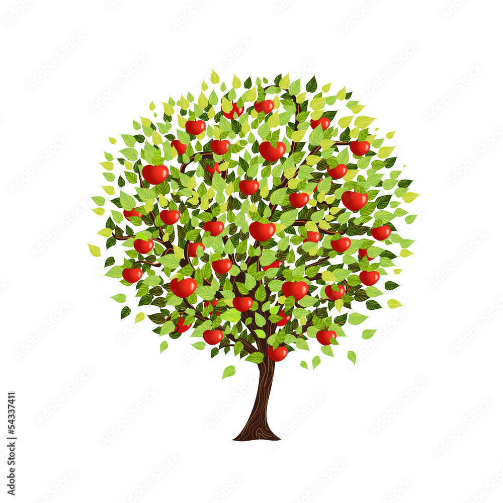 Isolated apple tree for your design