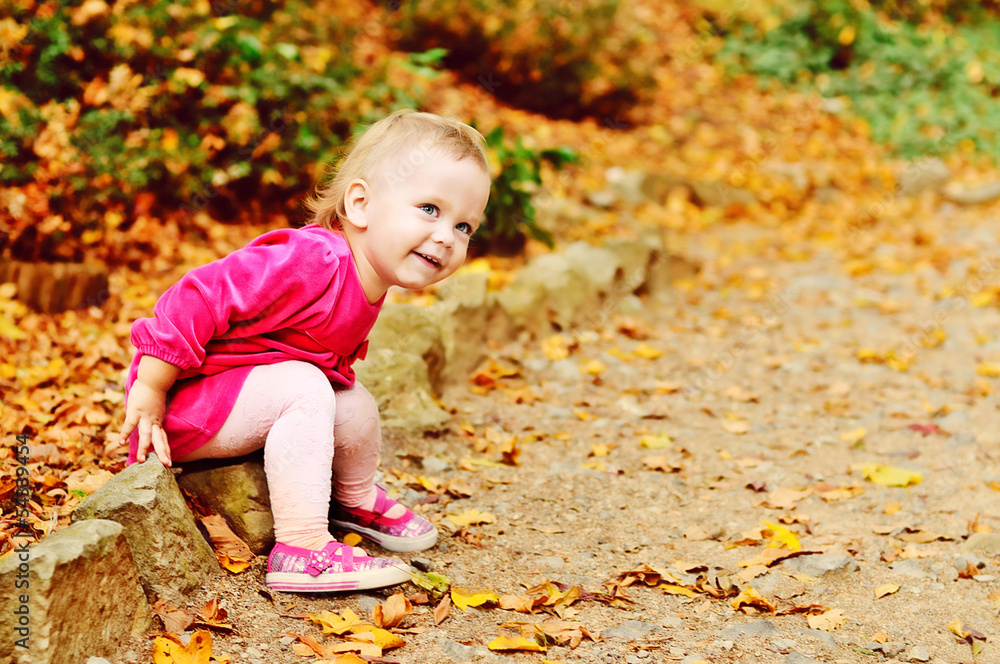 toddler girl in fall park toddler girl in fall park