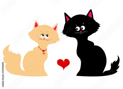 Happy cats in love