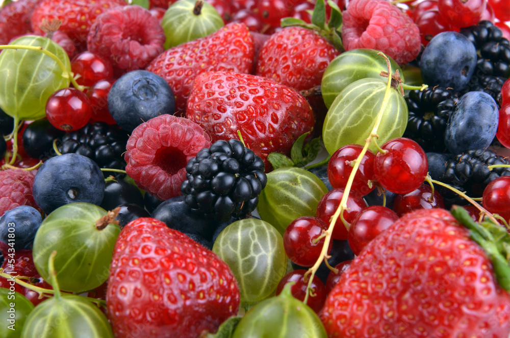 different fresh berries different fresh berries