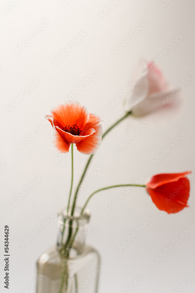 Nice poppies in the vase Nice poppies in the vase