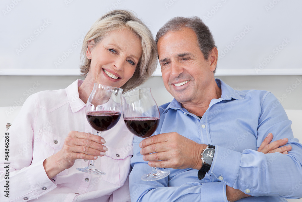 Portrait Of Mature Couple Toasting With Wine Portrait Of Mature Couple Toasting With Wine