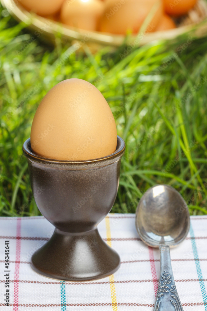 Breakfast on the grass. Egg in brown ceramic egg cup Breakfast on the grass. Egg in brown ceramic egg cup