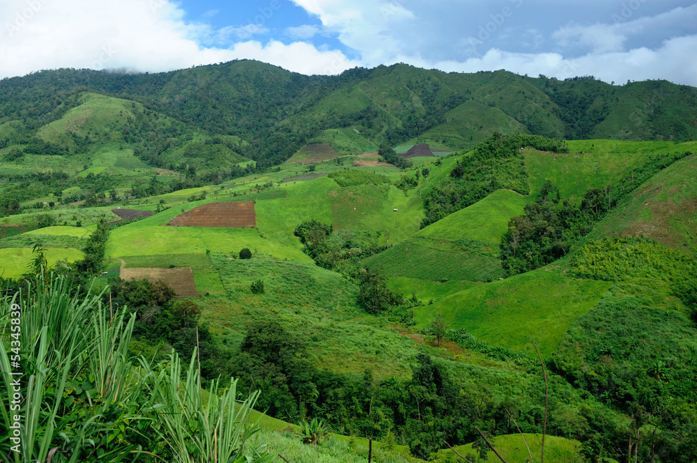 Obraz premium cultivated land, western of Thailand
