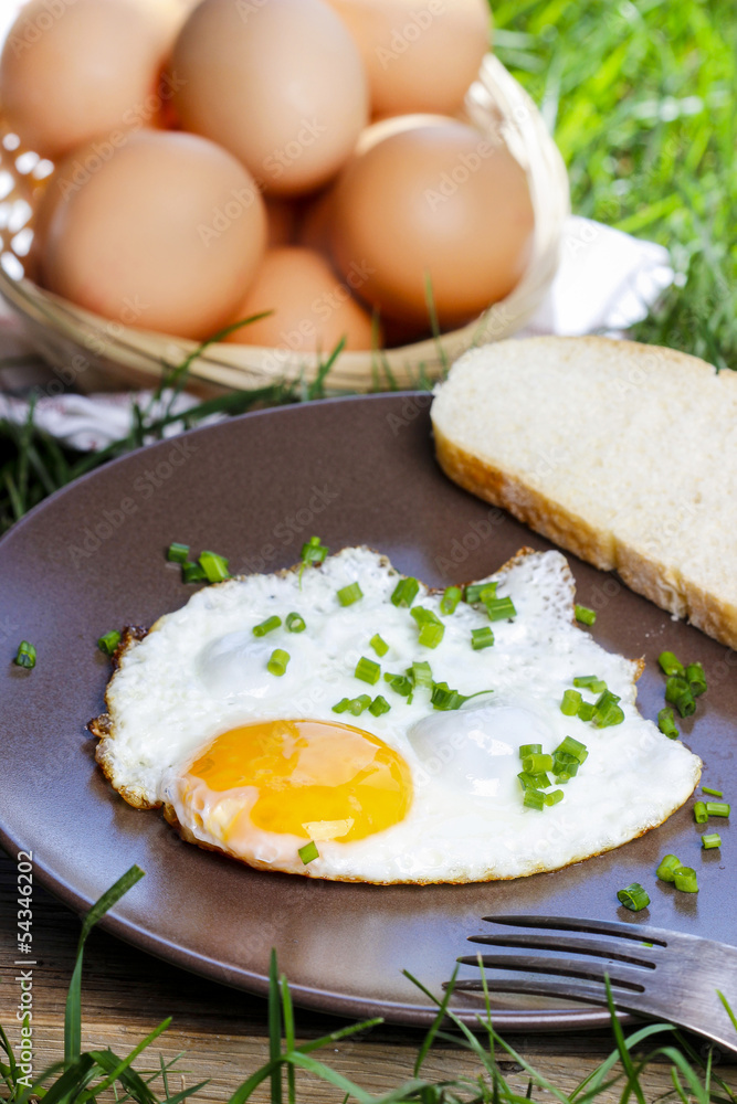 Breakfast on the grass. Fried egg on brown plate Breakfast on the grass. Fried egg on brown plate