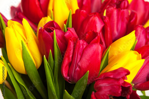 Closeup of  bouquet of tulips over white