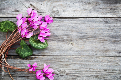 flowers on wooden background