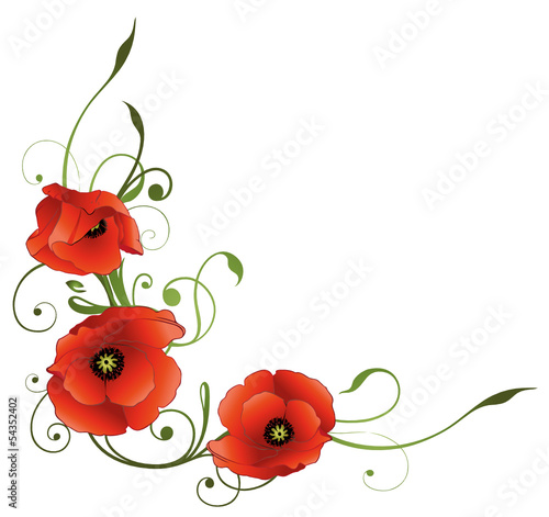 Sommer, Mohnblumen, Ranke, filigran