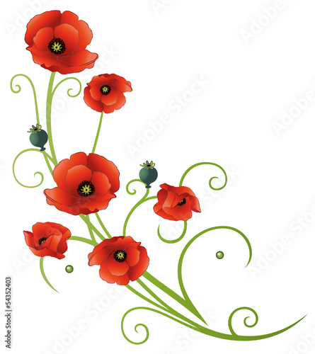 Sommer, Mohnblumen, Ranke, filigran