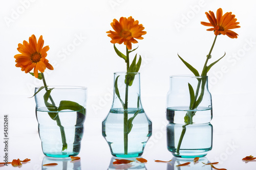 Three vase on white background.