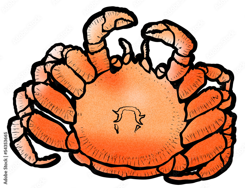 毛ガニ Stock イラスト Adobe Stock