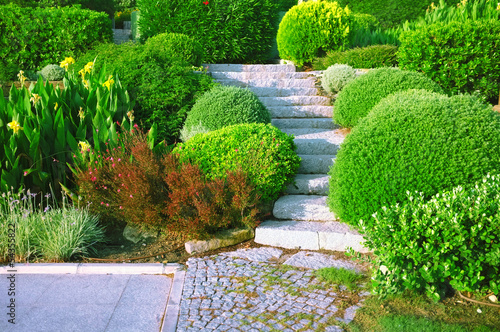 Landscaping in the garden photo