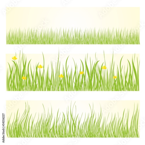Set of green grass background