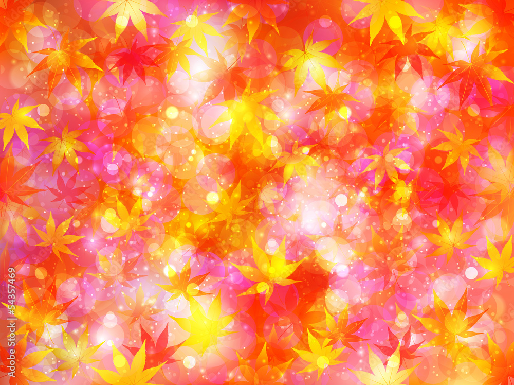 もみじ 紅葉 背景 秋 もみじ 紅葉 背景 秋