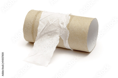 Empty toilet paper roll