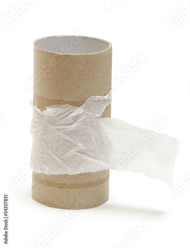 Empty toilet paper roll