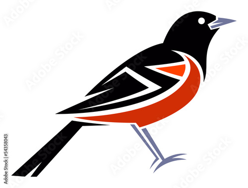 Orchard Oriole