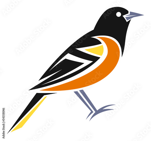 Baltimore Oriole
