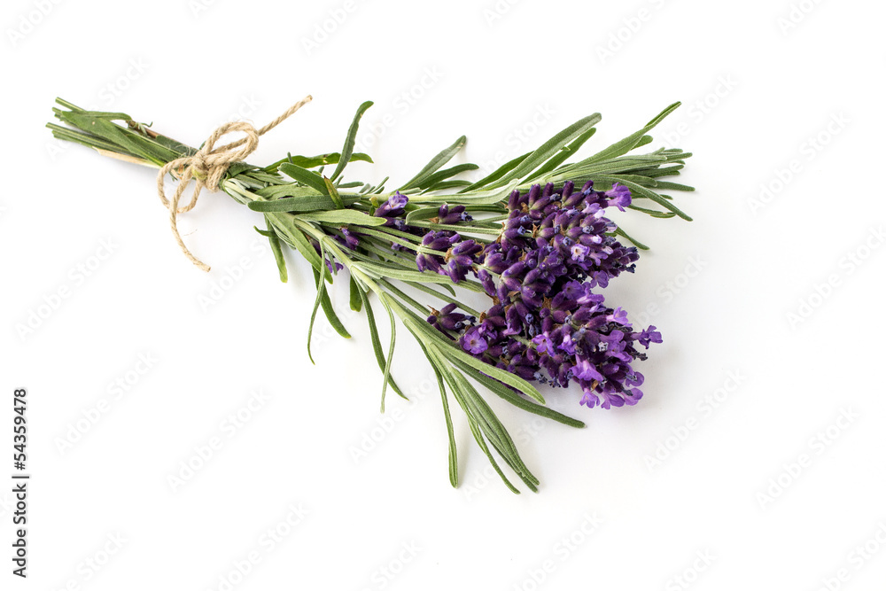 Fototapeta premium Lavendel Strauß in voller Blüte gebunden