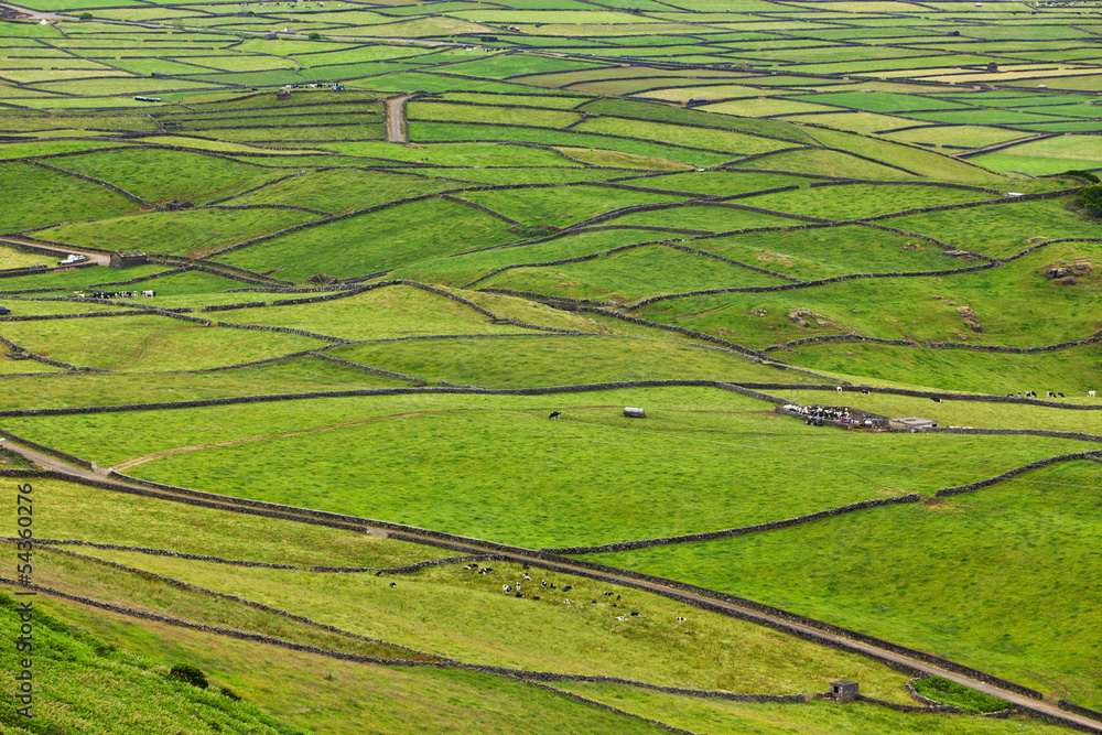 Rural Landscape, Terceira Island, Azores
