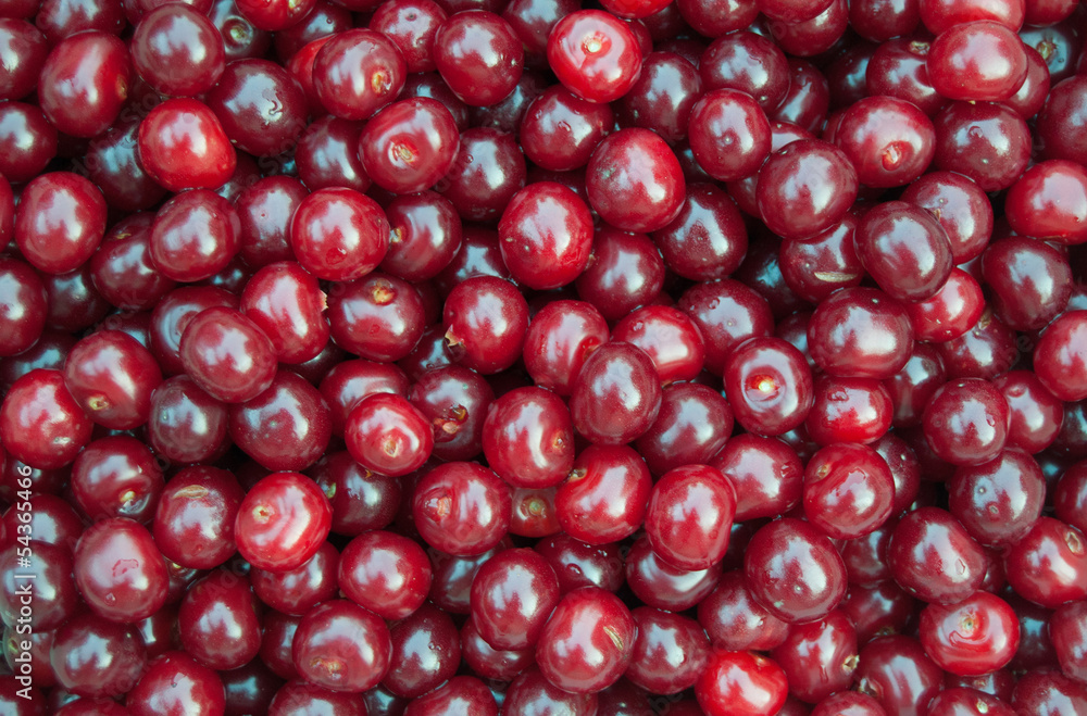 Sour Cherry Sour Cherry