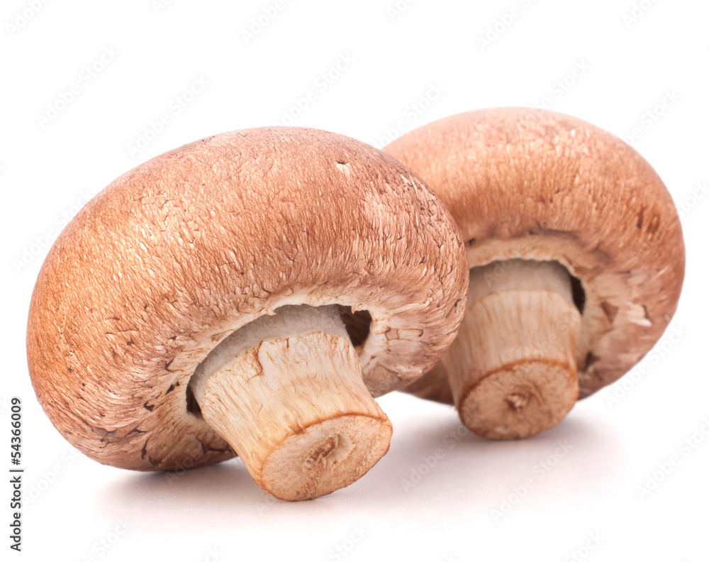 Brown champignon mushroom Brown champignon mushroom