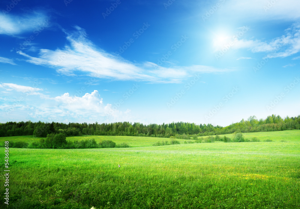 Obraz premium pole trawy i doskonałe niebo