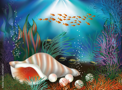 Underwater world card with seashell and pearls, vector