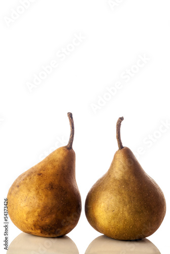 A pair of Russett pears