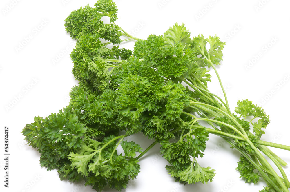 Bunch of fresh Parsleyon white background Bunch of fresh Parsleyon white background