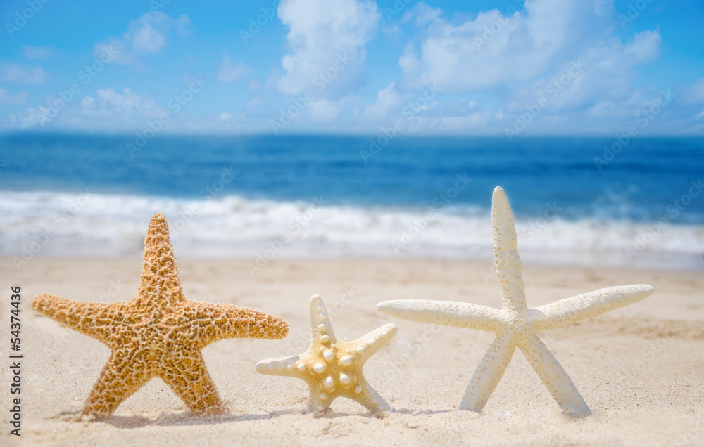 Three Starfishes on a beach